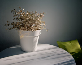  Blende0711-Immobilienfoto