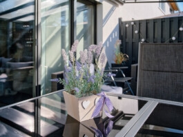  Blende0711-Immobilienfoto