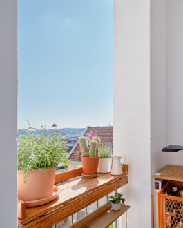  Blende0711-Immobilienfoto