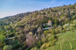  Blende0711-Immobilienfoto