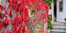  Blende0711-Immobilienfoto