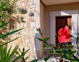  Blende0711-Immobilienfoto